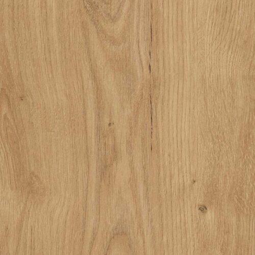 Eternal Oak