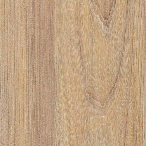 Swiss Elm Warm