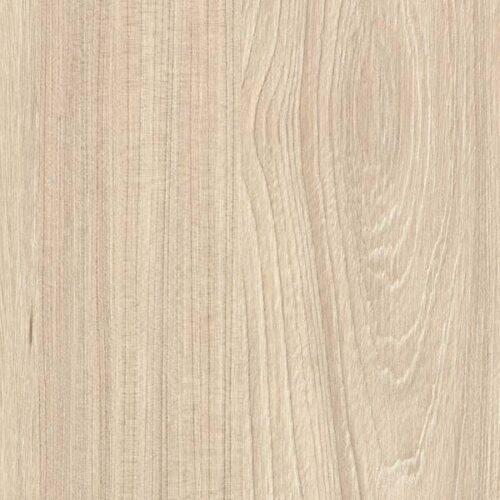 Swiss Elm Cold