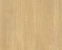 Salina Oak